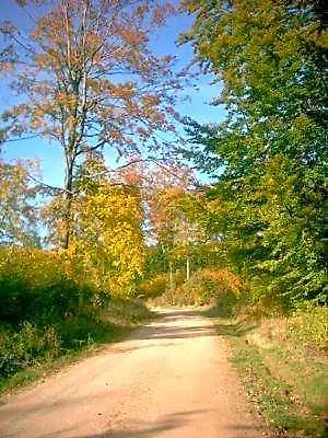 Hotel Harz Friedrichsbrunn