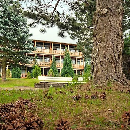 Harz 3*